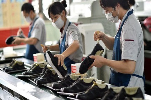 sản xuất da giày