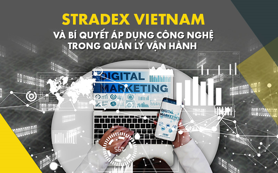 Stradex Việt Nam